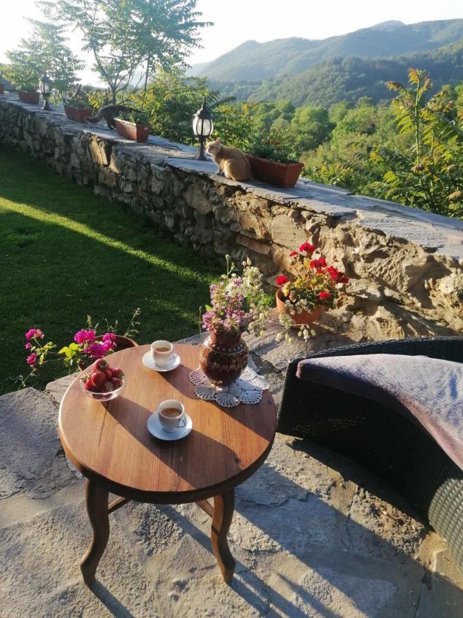 Yancheva Guest House Delchevo Extérieur photo